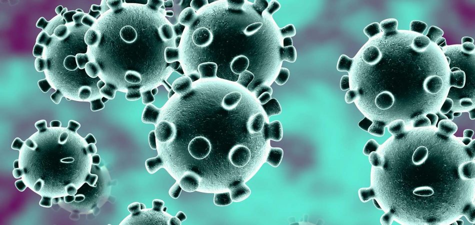 CORONAVÍRUS E CAMPANHA DE VACINAÇÃO CONTRA INFLUENZA