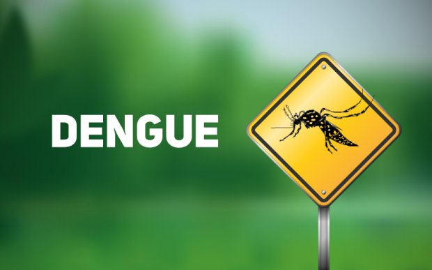 Reunião DIVE/COSEMS – Dengue – 08/06/2020