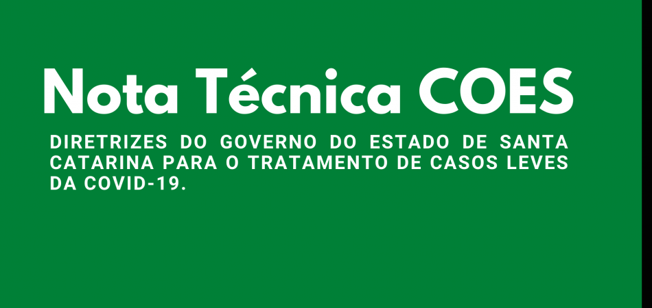 NOTA TÉCNICA 13/2020 – COES