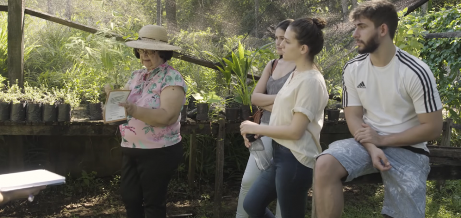 Edital para seleção de projetos de implantação de Farmácias Vivas fica aberto até 21/11