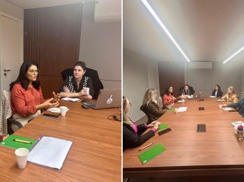 COSEMS/SC e representantes regionais discutem melhorias na Assistência Farmacêutica