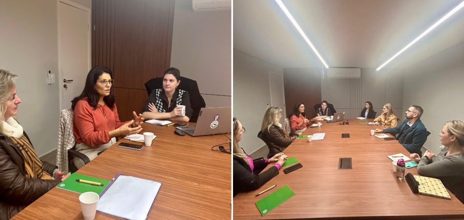 COSEMS/SC e representantes regionais discutem melhorias na Assistência Farmacêutica