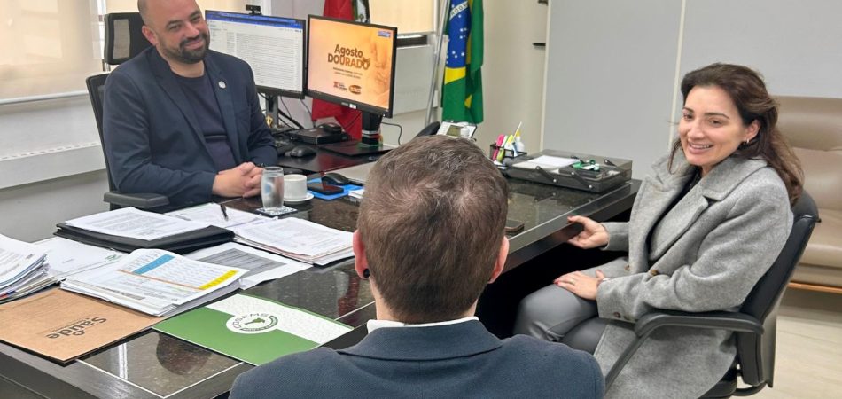 COSEMS/SC leva à SES proposta de ampliação de recursos para as farmácias municipais